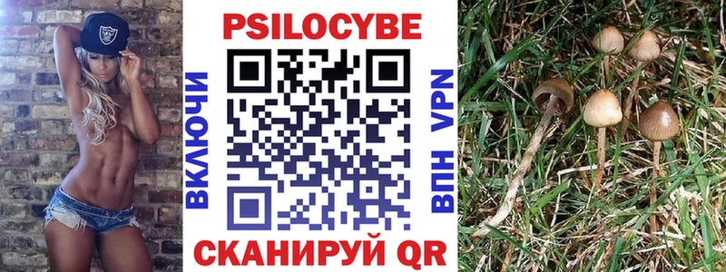 Галлюциногенные грибы мухоморы Новодвинск